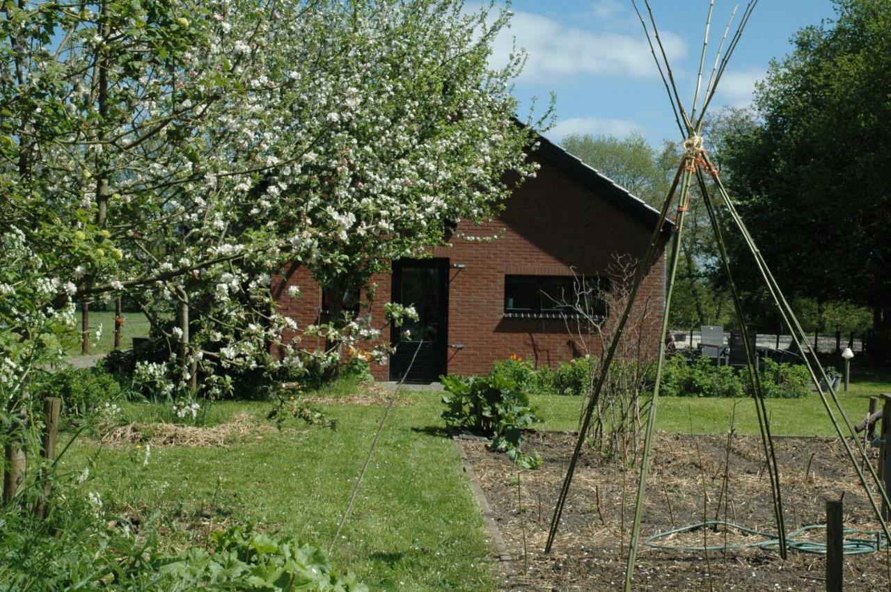 Gastenverblijf Op Het Graveland Zevenhuizen  Экстерьер фото
