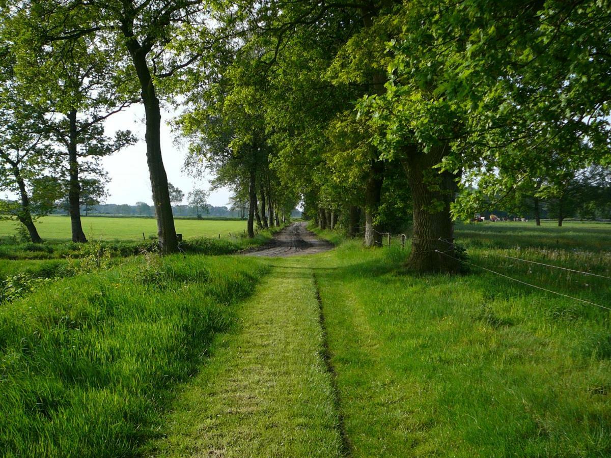 Gastenverblijf Op Het Graveland Zevenhuizen  Экстерьер фото